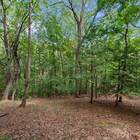 فيلا Cozy Bear Getaway Marble Hill المظهر الخارجي الصورة