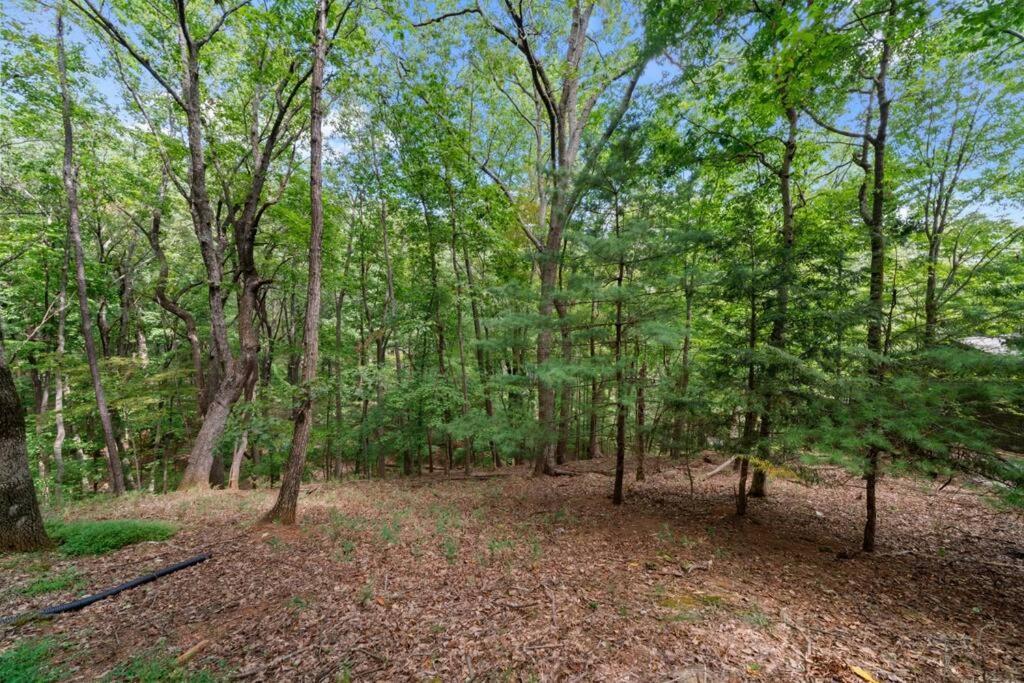 فيلا Cozy Bear Getaway Marble Hill المظهر الخارجي الصورة