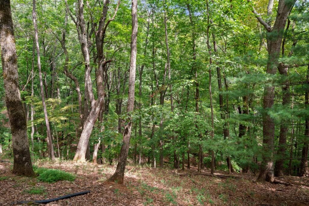 فيلا Cozy Bear Getaway Marble Hill المظهر الخارجي الصورة
